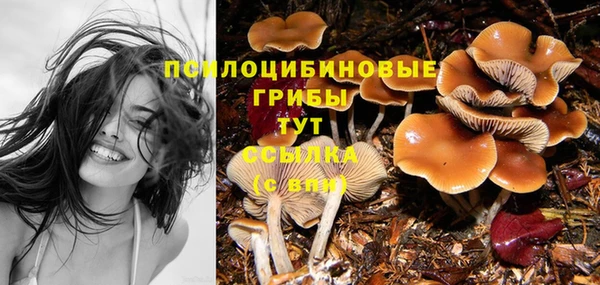 МДПВ Армянск