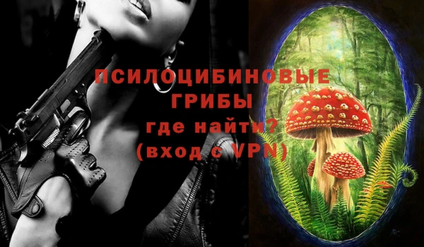 прущий лед Арсеньев