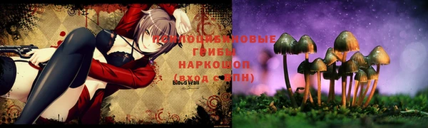 2c-b Аркадак
